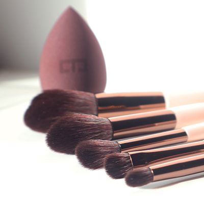 Harmony Brush & Sponge Set